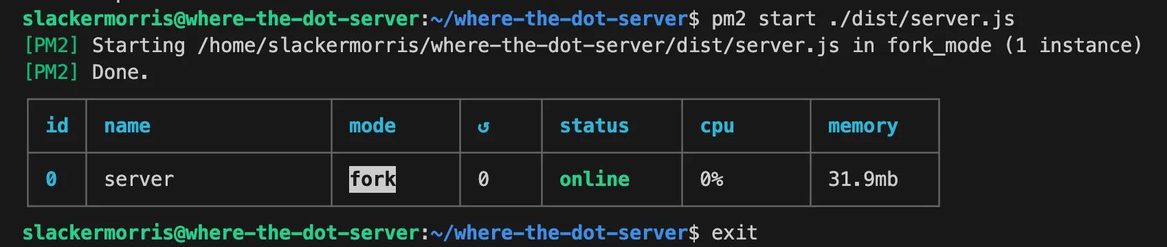 Running PM2 as process manager